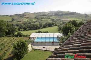 IMG 0384
